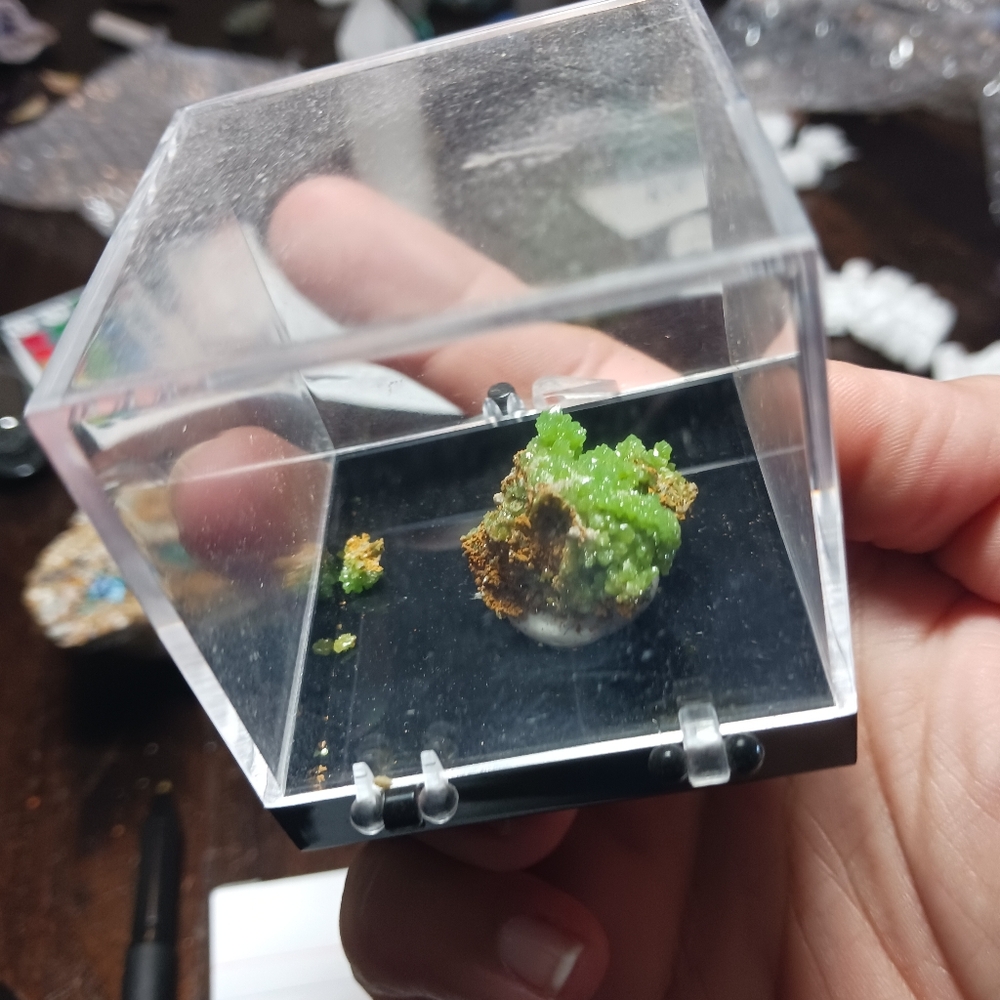 Polymorphite - Picture 2 of 4